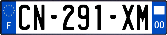 CN-291-XM