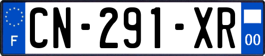 CN-291-XR