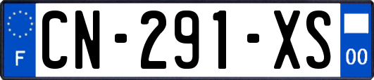 CN-291-XS