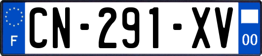 CN-291-XV