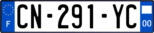 CN-291-YC