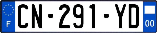 CN-291-YD