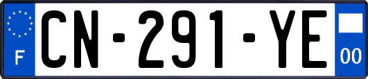 CN-291-YE
