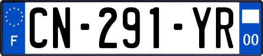CN-291-YR