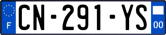 CN-291-YS