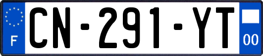CN-291-YT