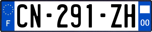 CN-291-ZH