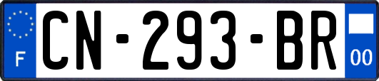 CN-293-BR
