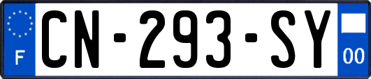 CN-293-SY