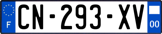 CN-293-XV