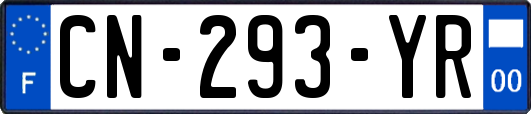 CN-293-YR