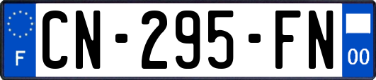 CN-295-FN