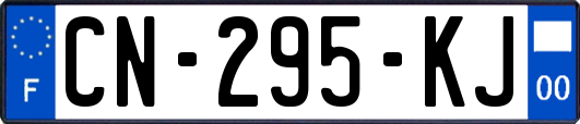 CN-295-KJ