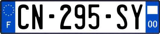 CN-295-SY