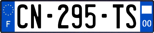 CN-295-TS