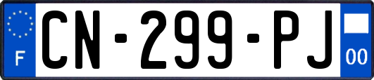 CN-299-PJ