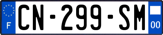 CN-299-SM