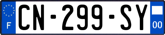 CN-299-SY