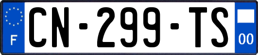 CN-299-TS