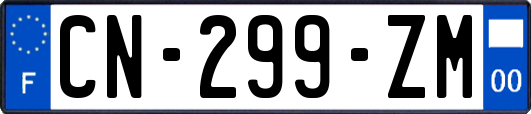 CN-299-ZM