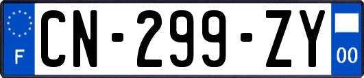 CN-299-ZY
