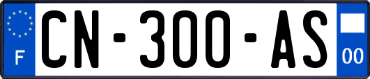 CN-300-AS