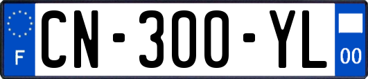 CN-300-YL