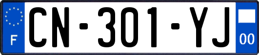 CN-301-YJ