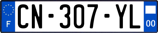 CN-307-YL