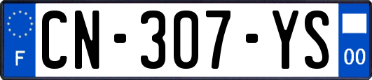 CN-307-YS