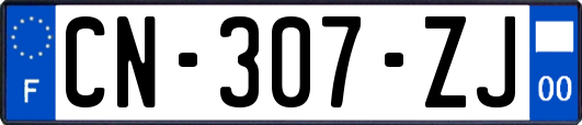 CN-307-ZJ