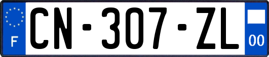 CN-307-ZL