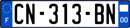 CN-313-BN