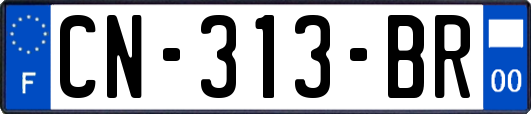 CN-313-BR