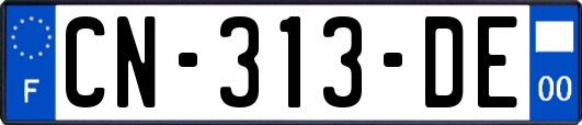 CN-313-DE