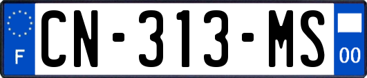 CN-313-MS