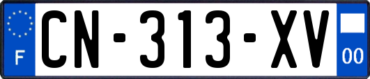 CN-313-XV