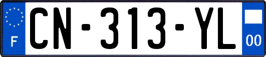 CN-313-YL