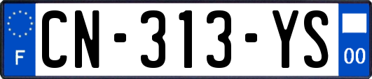 CN-313-YS