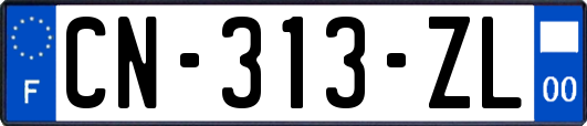 CN-313-ZL