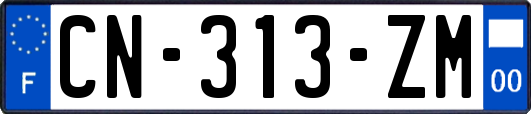 CN-313-ZM