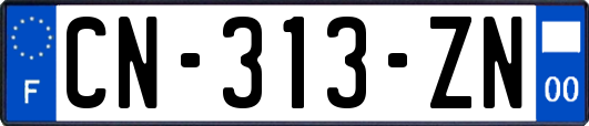 CN-313-ZN