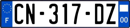 CN-317-DZ