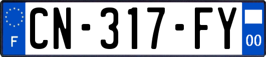CN-317-FY