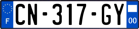CN-317-GY