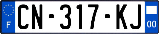 CN-317-KJ