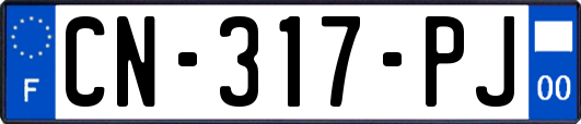 CN-317-PJ