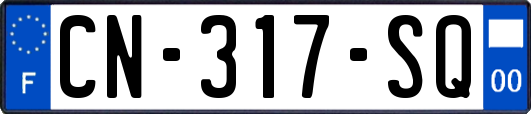 CN-317-SQ