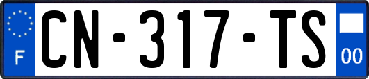 CN-317-TS