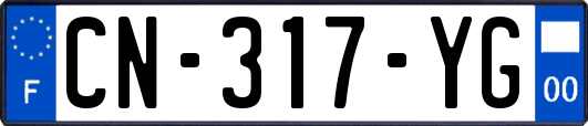 CN-317-YG